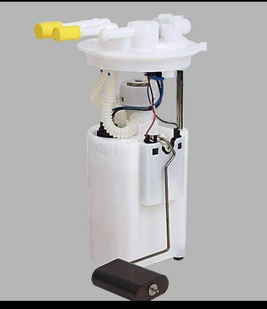 Fuel Pump Assembly